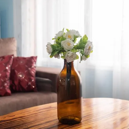 Casa Vale Sereno By Rent-a-key 보아벤투라